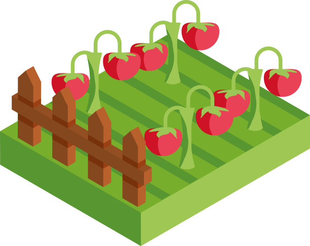 收获蔬菜的草地图片下载