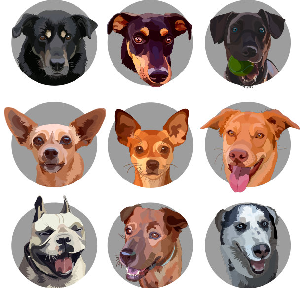 设置贴纸与头狗图片下载