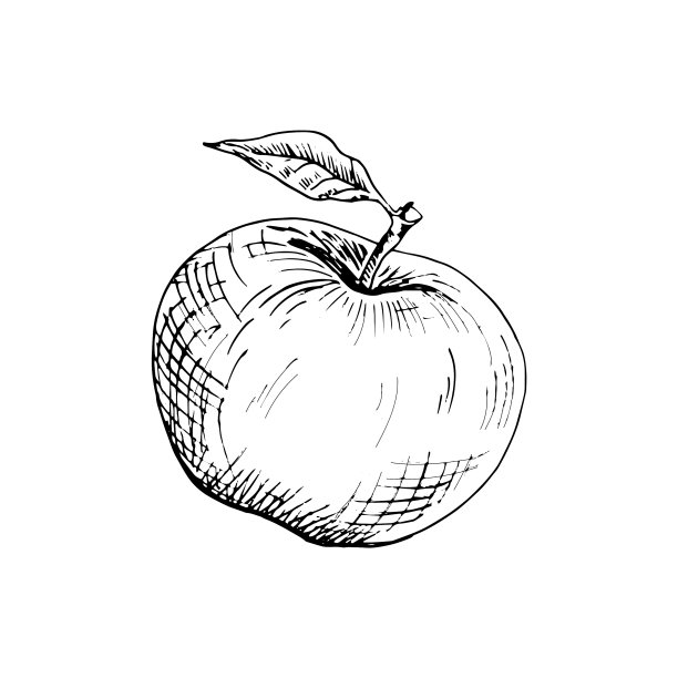 苹果素描手绘苹果图片下载