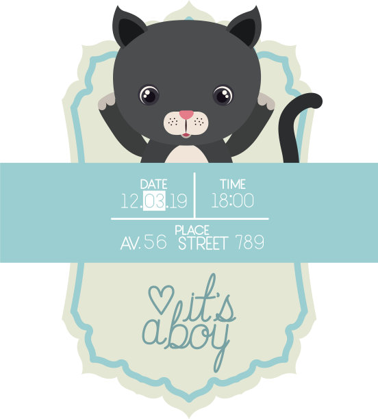 可爱的小猫，它是一个男孩的框架图片下载