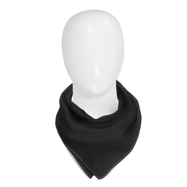 Unn模拟黑色大手帕在脖子上图片下载