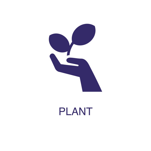 白色上的植物元素平淡简约图片下载