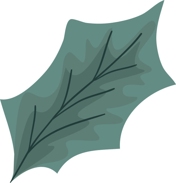 生态叶植物孤立图标图片下载