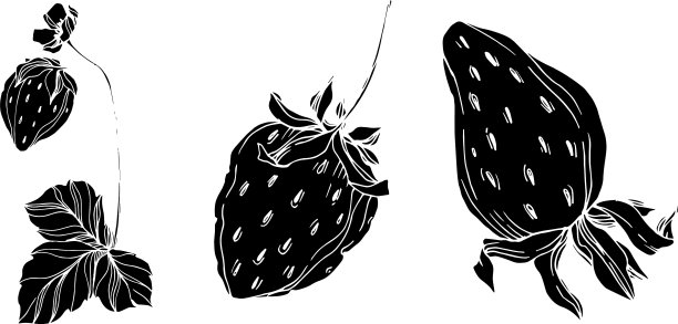 草莓新鲜浆果健康食品黑图片下载