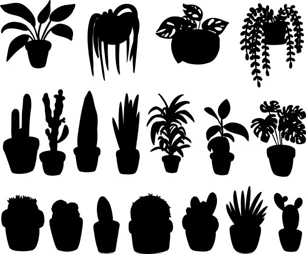 设置hygge盆栽肉质植物黑色图片下载