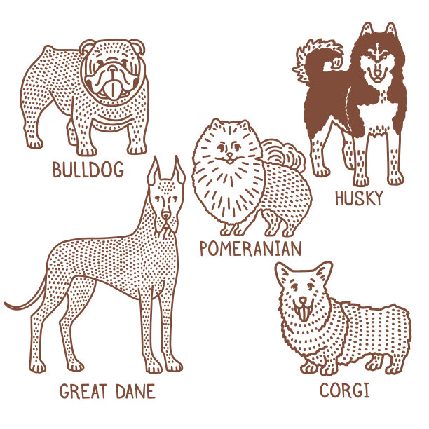 孤立的狗设置在手绘涂鸦风格图片下载