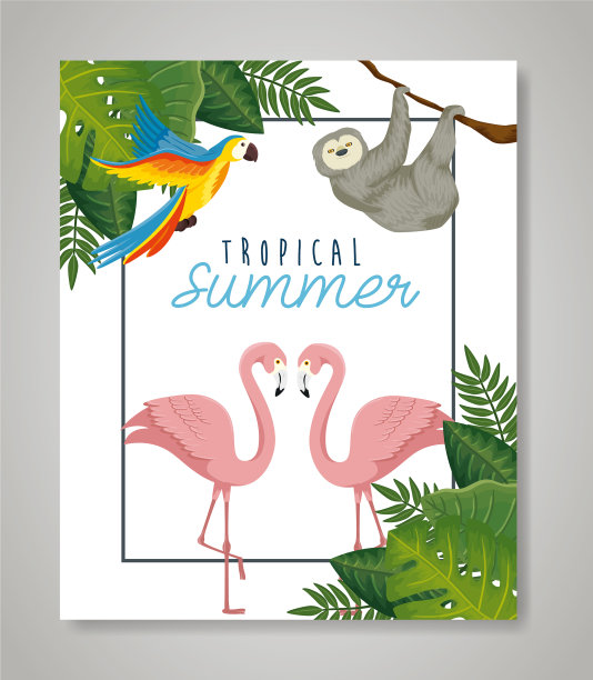 热带夏季大甩卖，框架花和图片下载