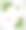 热带夏季大甩卖，框架花和图片下载