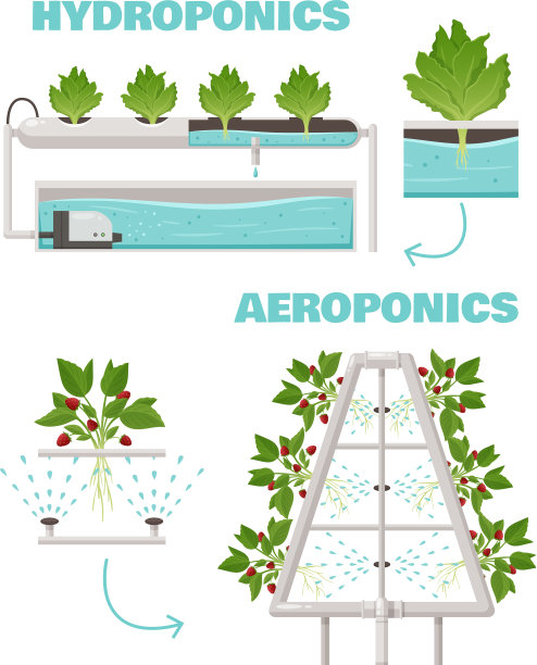 水培和气培的概念图片下载