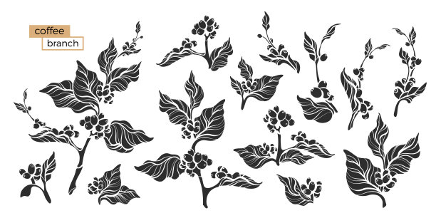 咖啡具枝状黑色图片下载