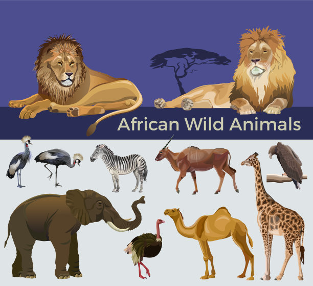 写实风格的非洲野生动物形象图片下载