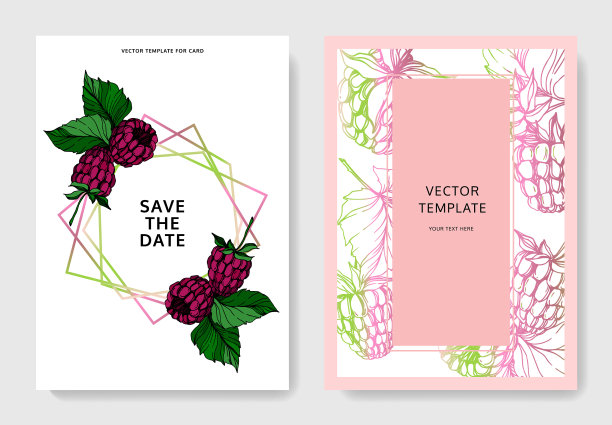 树莓健康食品孤立黑和图片下载