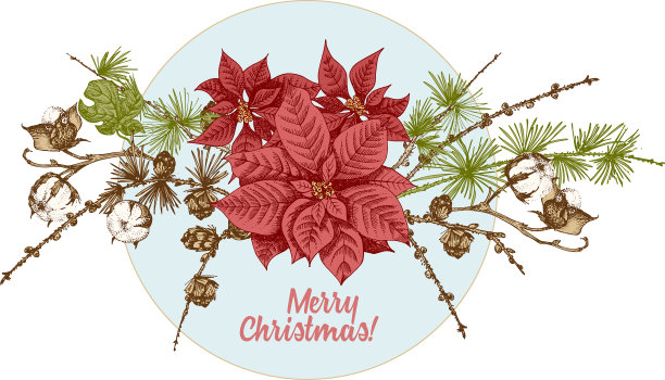 手绘植物素描花环与圣诞节图片下载