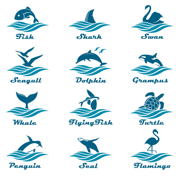 水生动物组图片下载