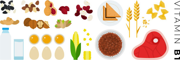 维生素b1食物平图标与意大利面蛋黄图片下载