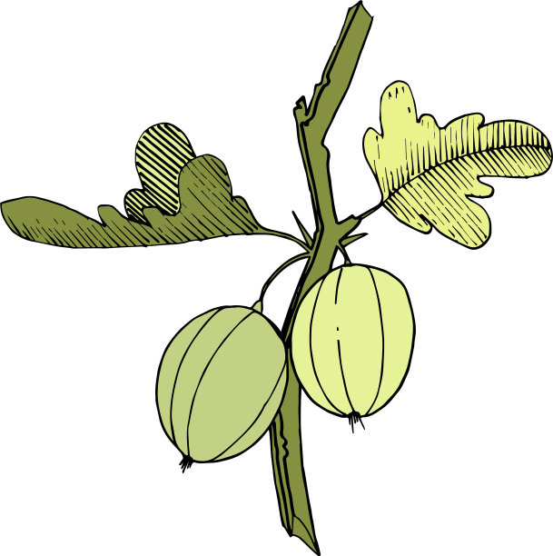 黑白篆刻水墨艺术孤立图片下载