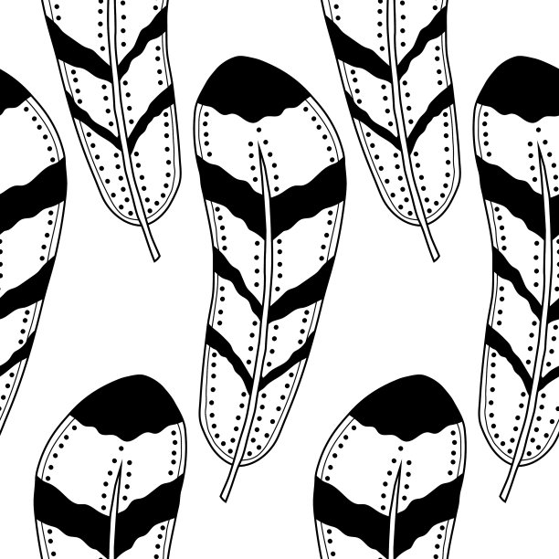 装饰华丽的鸟羽毛黑色和白色图片下载