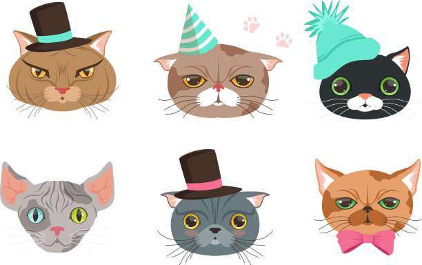 可爱的卡通猫口套动物的头图片下载