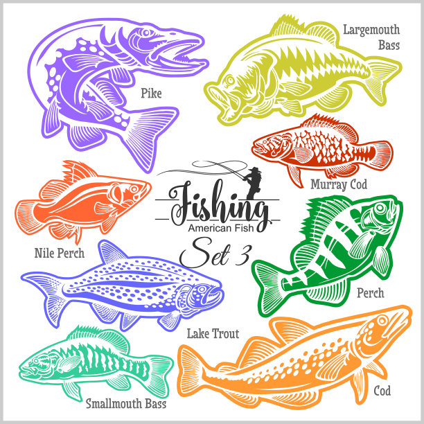 美国鱼集3创意设计图片下载