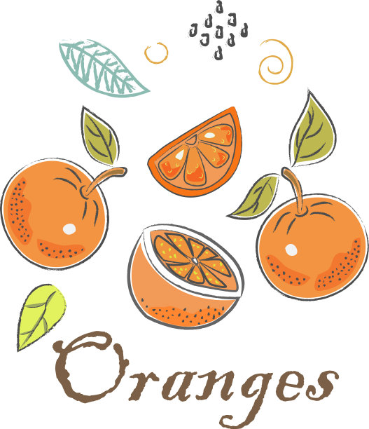 可爱的图标与橙子手绘斯堪的纳维亚图片下载