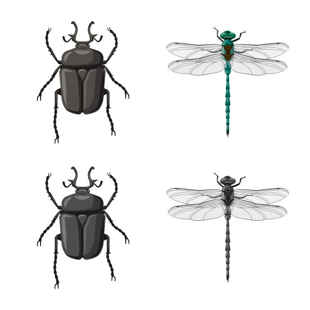 孤立物体昆虫和苍蝇符号图片下载