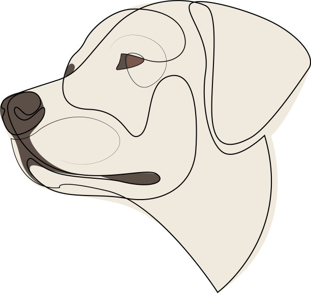 连续线拉布拉多寻回单线图片下载