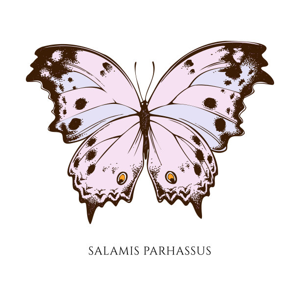 设置手绘彩色萨拉米斯帕尔萨斯图片下载