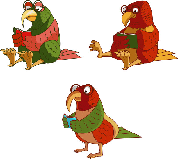 阅读鹦鹉图片下载