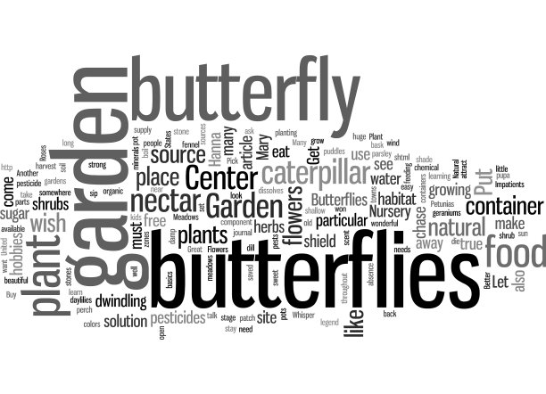 邀请蝴蝶到你的花园图片下载