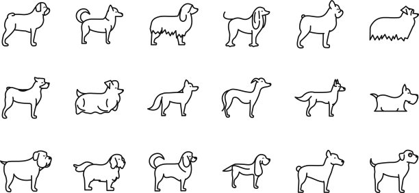 设置狗品种站立图标线性风格图片下载