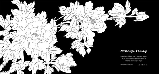 牡丹树的枝干带花图片下载