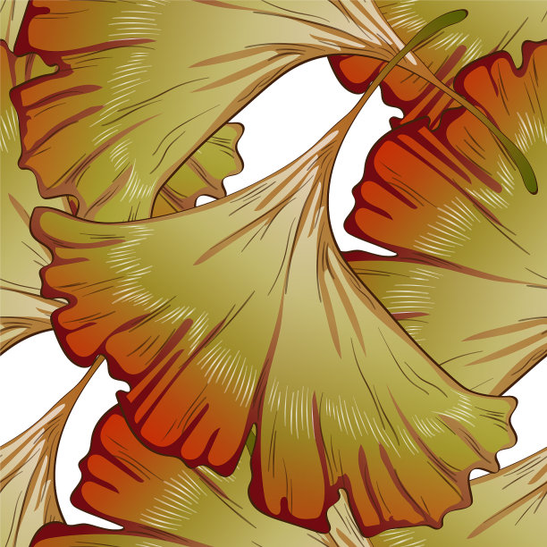 秋天银杏叶黄红相间图片下载