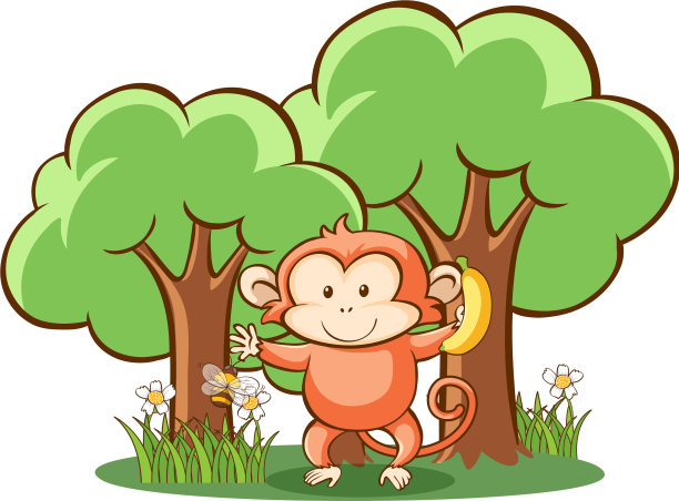 可爱的猴子在白色的背景图片下载