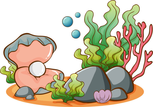 白色背景上的海藻和珍珠图片下载