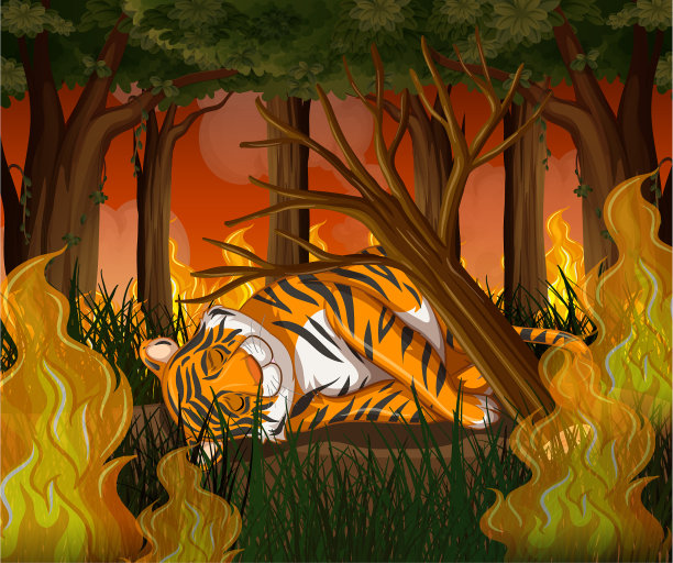 森林砍伐的景象与老虎和野火图片下载