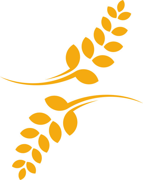 农业小麦标志模板奢侈小麦图片下载