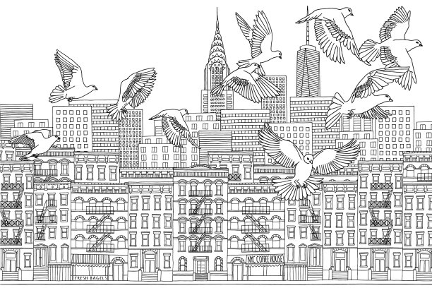 纽约上空的鸟儿图片下载