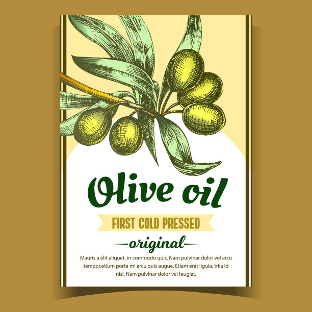 橄榄特级初榨有机产品标签图片下载