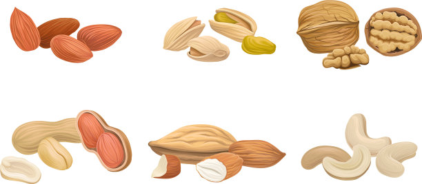 不同的坚果设置隔离在白色背景图片下载