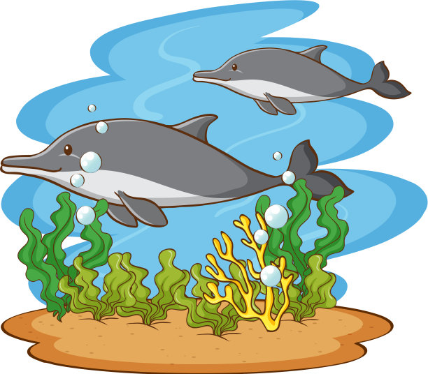 两只海豚在海里的场景图片下载