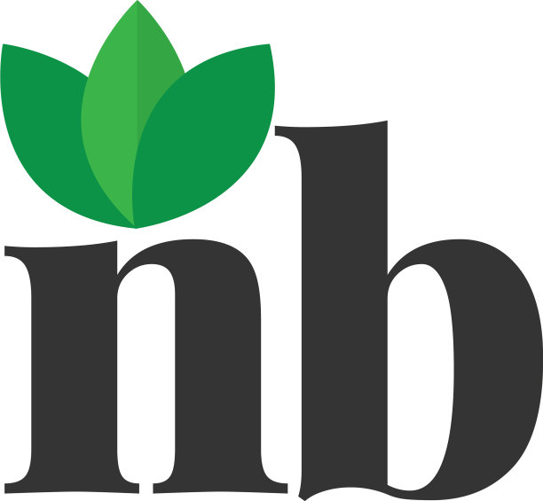 首字母nb绿叶标志设计模板图片下载