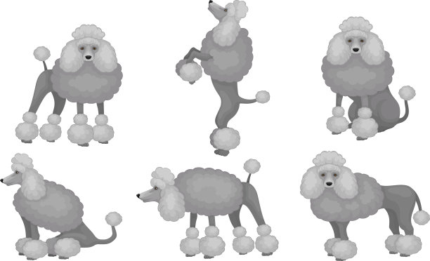 灰色狮子狗设置可爱的宠物动物角色图片下载