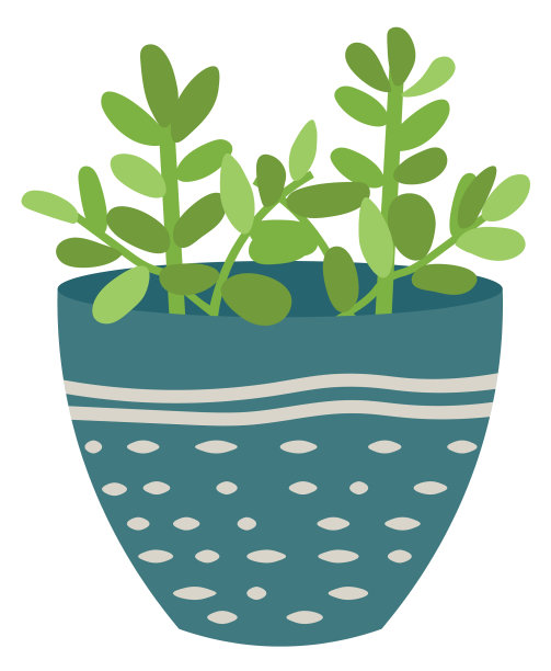 室内盆栽，花朵繁盛图片下载