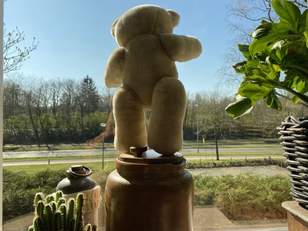 团结泰迪熊图片下载