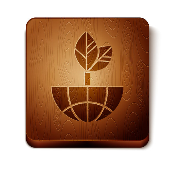 棕色地球和叶子图标孤立在白色上图片下载