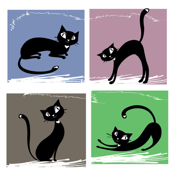 设置黑猫图片下载