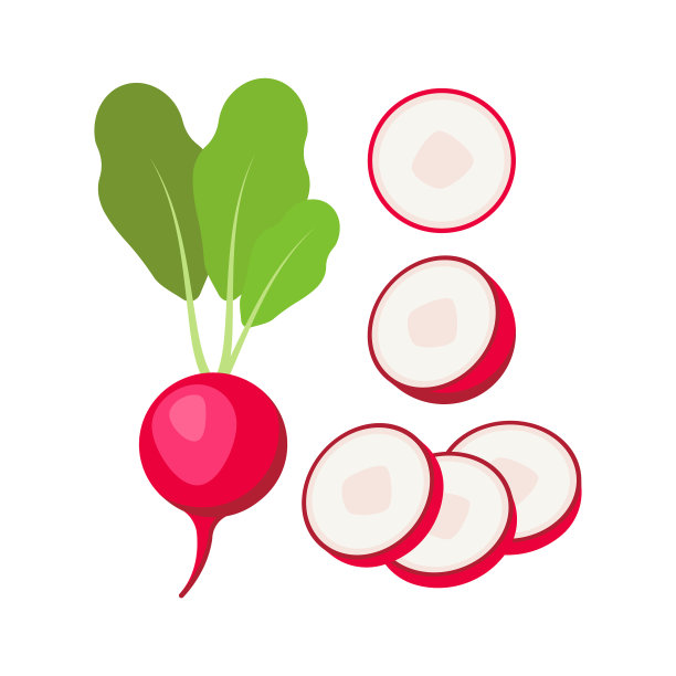 孤立在白色背景上的萝卜图片下载