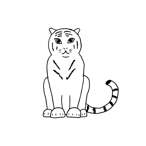 老虎孤立在白色的背景华丽图片下载