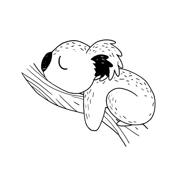 有趣可爱的考拉在树上休息和睡觉哈图片下载