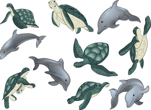 设置游泳的海豚和图片下载